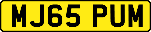 MJ65PUM