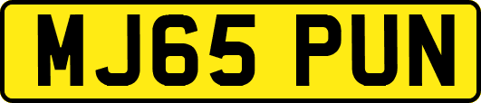 MJ65PUN
