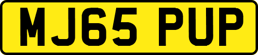 MJ65PUP