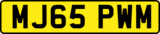 MJ65PWM