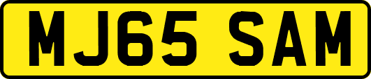 MJ65SAM