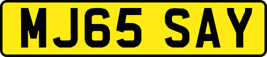 MJ65SAY