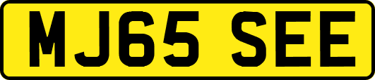 MJ65SEE
