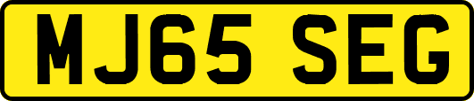 MJ65SEG