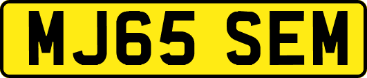 MJ65SEM