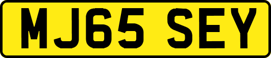 MJ65SEY