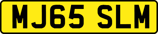 MJ65SLM