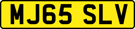MJ65SLV