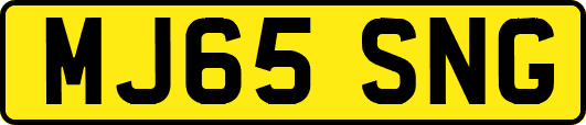 MJ65SNG