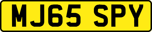 MJ65SPY