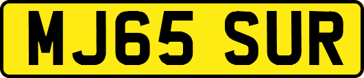 MJ65SUR