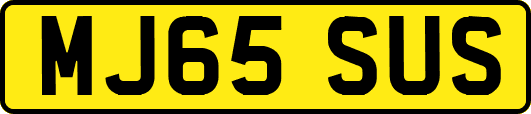 MJ65SUS