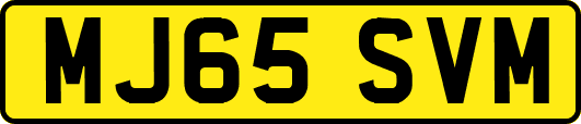 MJ65SVM