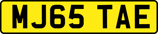 MJ65TAE