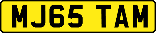 MJ65TAM