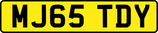 MJ65TDY