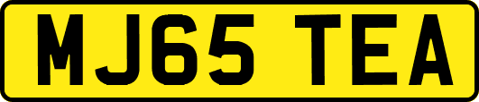 MJ65TEA