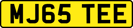 MJ65TEE