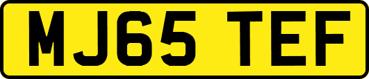MJ65TEF