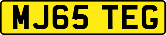MJ65TEG