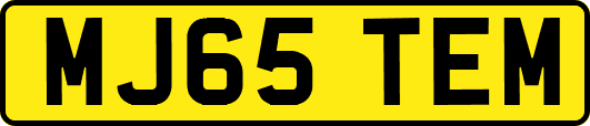 MJ65TEM