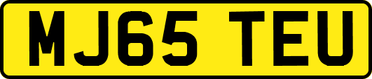 MJ65TEU