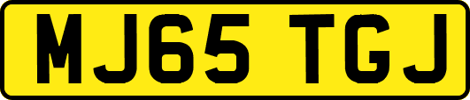 MJ65TGJ