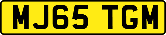 MJ65TGM