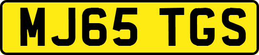 MJ65TGS