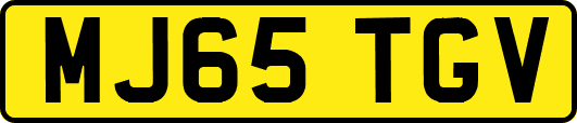 MJ65TGV