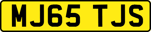MJ65TJS