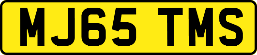 MJ65TMS