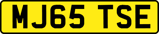 MJ65TSE