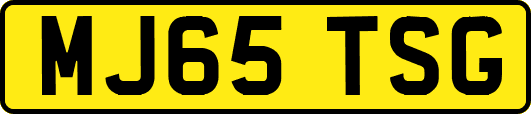 MJ65TSG