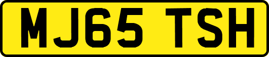 MJ65TSH