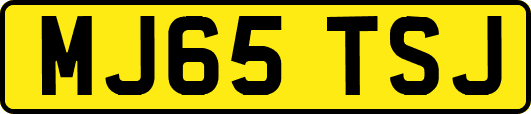 MJ65TSJ