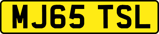 MJ65TSL