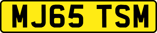 MJ65TSM