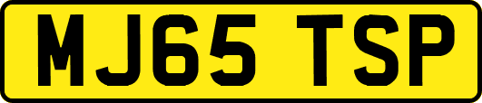 MJ65TSP