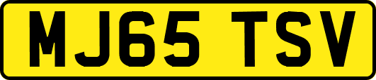 MJ65TSV
