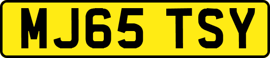 MJ65TSY