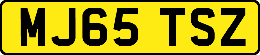 MJ65TSZ
