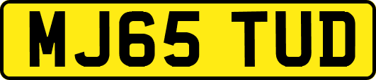 MJ65TUD