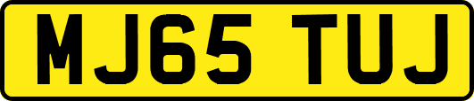 MJ65TUJ