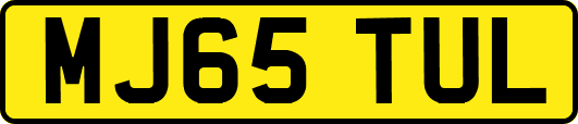MJ65TUL