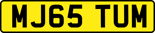 MJ65TUM