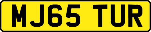 MJ65TUR