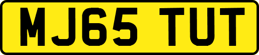 MJ65TUT