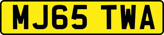 MJ65TWA