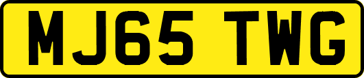 MJ65TWG